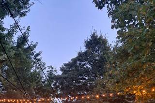 Tenuta La Meirana - 14