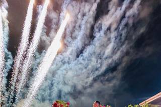 Il Sabato del Villaggio Fioristi - 12