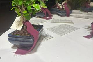 Voglia di Bonsai - 5