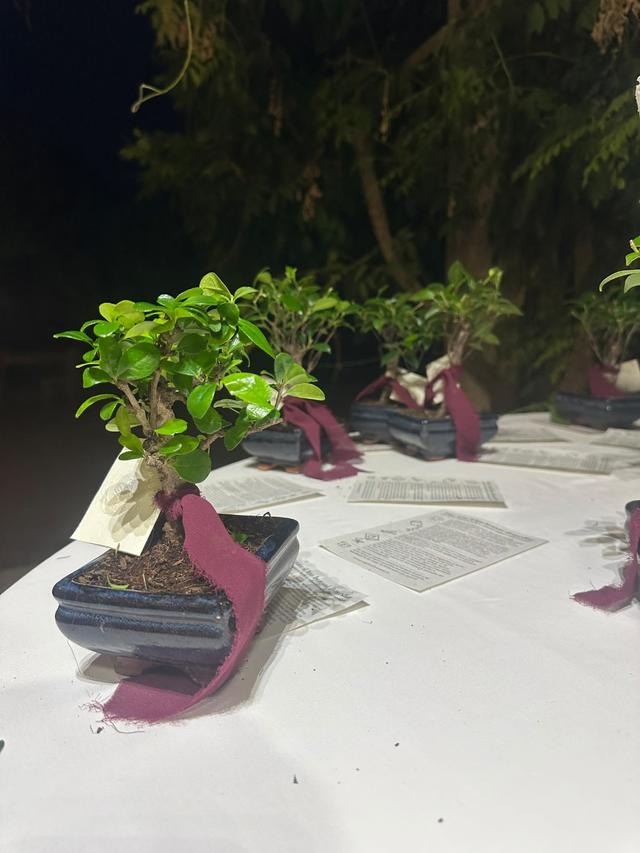 Voglia di Bonsai - 2