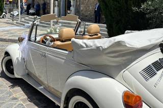 Maggiolone Gp - 10