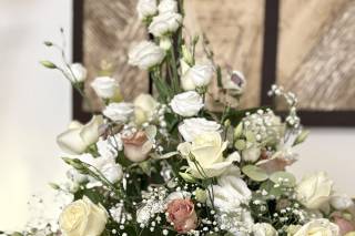 Vulcano dei Fiori - 5