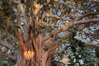 Seby Salemi Flower Artist - 7