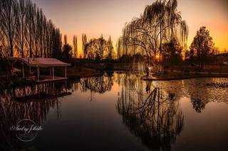 Andryphoto - 25