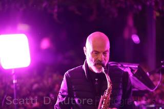 Everglades Musica e Animazione - 7