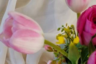 Le Dahlie - Flowers and more - 12