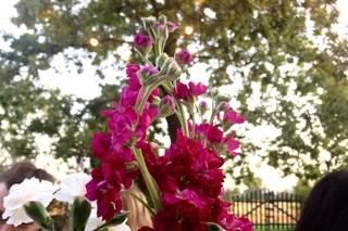 L'angolo dei fiori di Gianferrari Rossana - 13