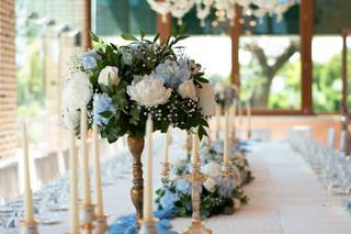 Flos Piante & Fiori - 5