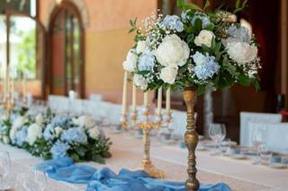 Flos Piante & Fiori - 6