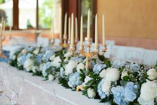 Flos Piante & Fiori - 7