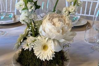 Creativa Event Planner - 12