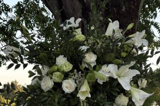 Lunaria Eventi - 8