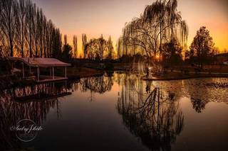 Andryphoto - 21