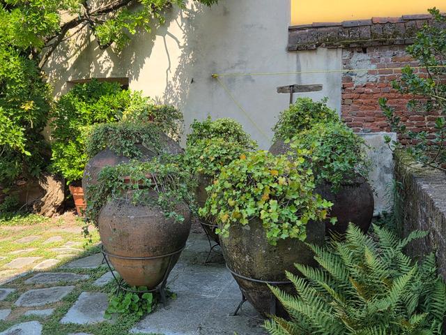 Castello di Vespolate - 3