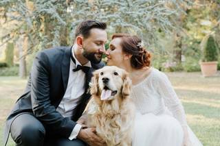Dog Sitter Toscana - 4