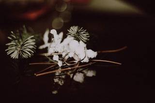 Angelo Tessitore Fotografo - 9