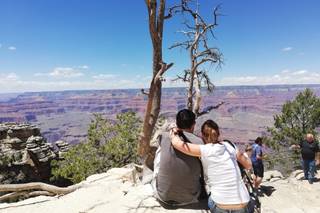 Cinzia Fratesi Consulente di Viaggio - 10