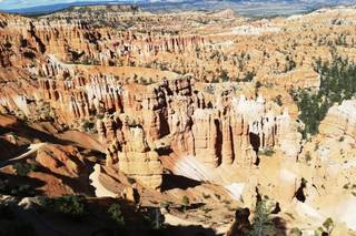 Cinzia Fratesi Consulente di Viaggio - 12