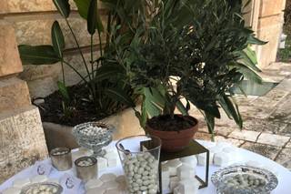 Leccornie sotto gli Ulivi - 16