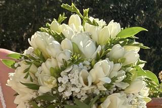 Fiororto - 5