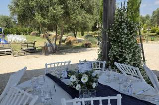 Tenuta Corte del Sole - 6