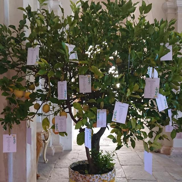 Emozioni alle stelle - 1