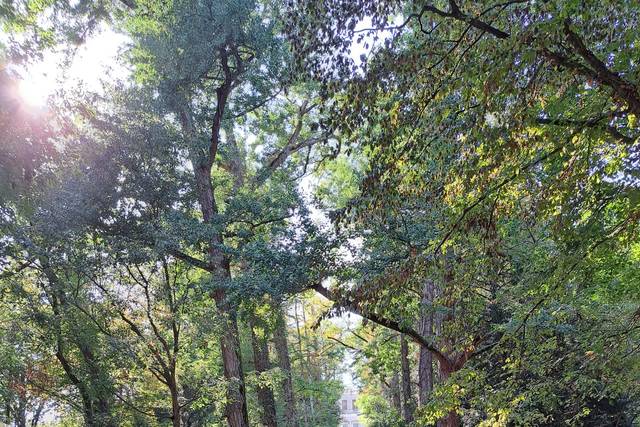 Parco Frassanelle 5