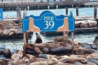 Voglia di Viaggiare - 6