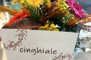 piovendo calligraphy - 20