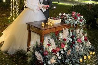 Magnolia di Mazzoli Elisa - 10