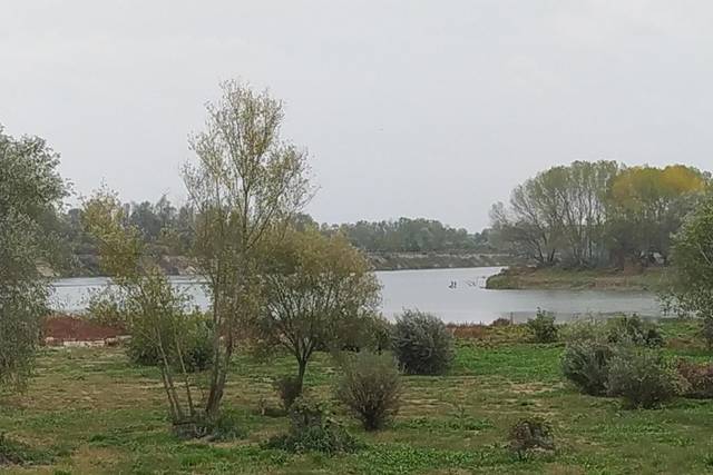Ristorante Le Terrazze sul Po 4