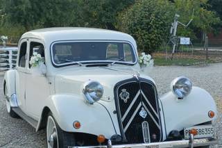 Le Auto di Magnolia - 16