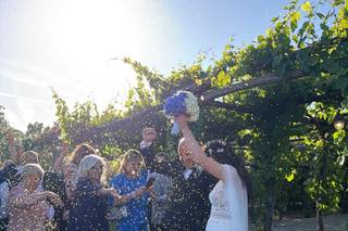 Bosco de' Medici Wine Resort - 15