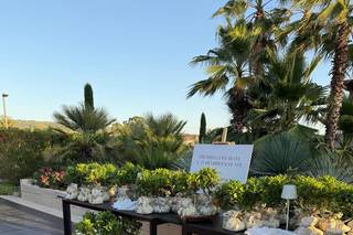 Centro Bonsai Iodice - 6