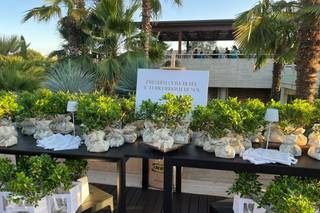 Centro Bonsai Iodice - 7