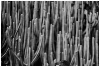 GAP di Antonino Gitto - 8