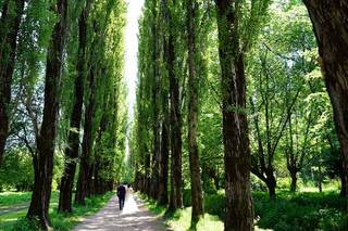 Idea Video-Wedding Photographer - 8