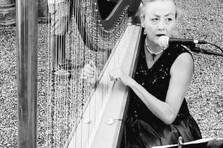 Antonella Natangelo Harp - 5