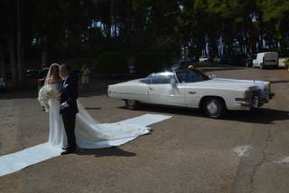 Classic Cars - 6