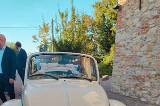 Maggiolino Cabrio Bianco - 6
