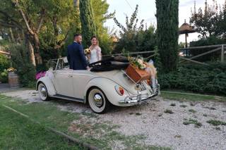 Agriturismo Trerè - 13