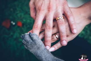 Wedding Dog Sitter - Alessio Faggi - 9