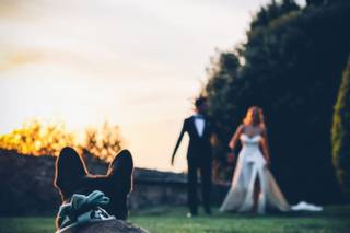 Wedding Dog Sitter - Alessio Faggi - 10