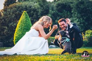 Wedding Dog Sitter - Alessio Faggi - 11