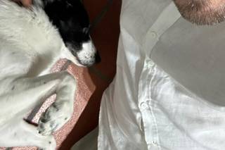 Davide - Wedding Dog Sitter - 6