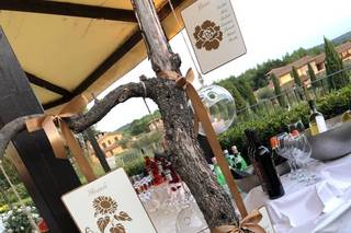 Creazioni La Fenice - 6