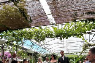 Gardenia di Paola Montanari - 6