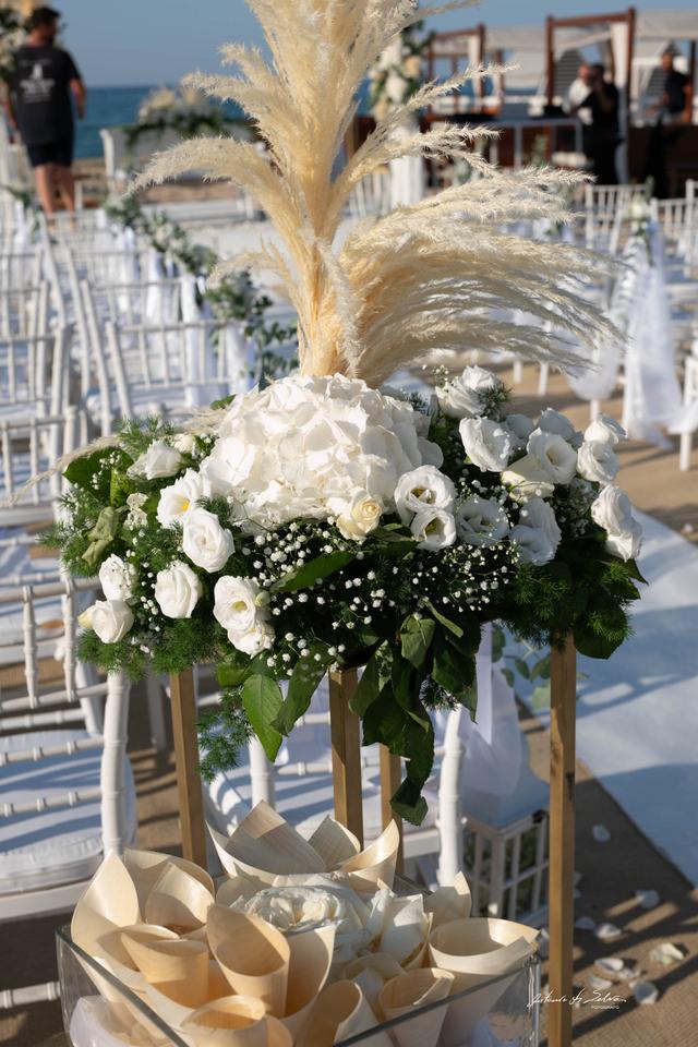 Le Palme Beach Club - 2