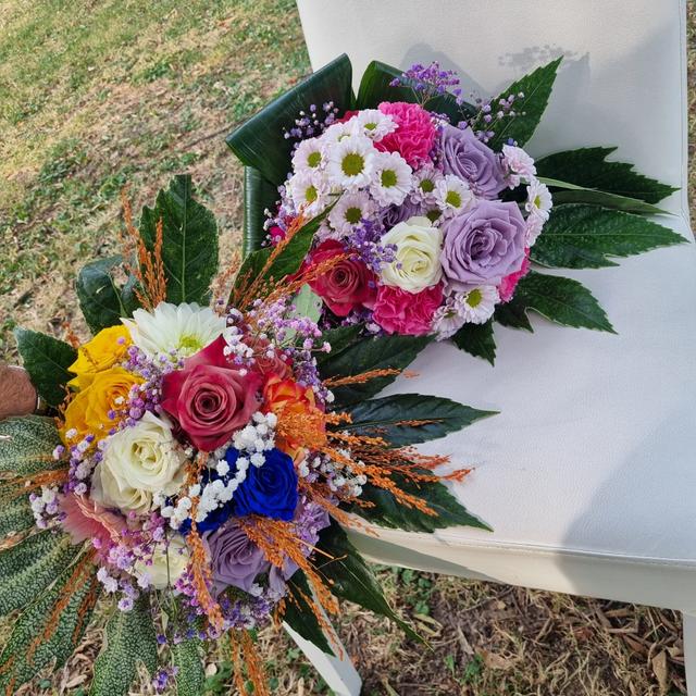 I Fiori di Maffy e Holly - 3