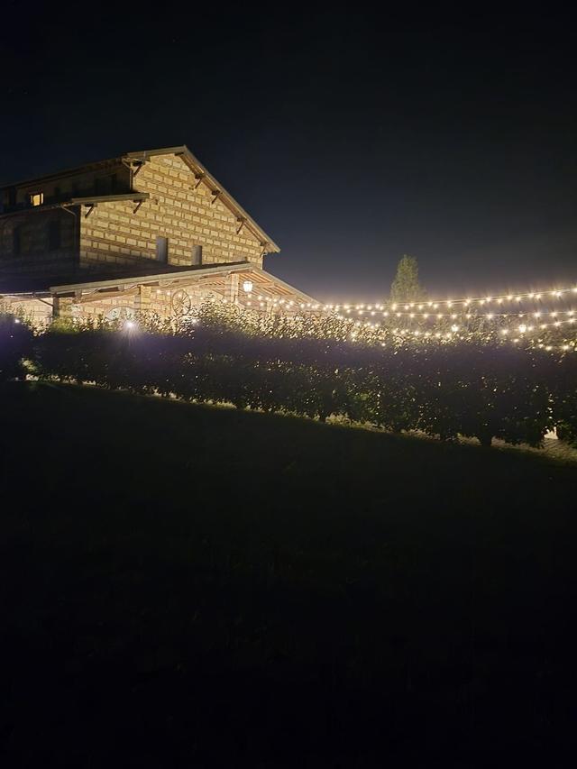 Monferrato Resort - 2